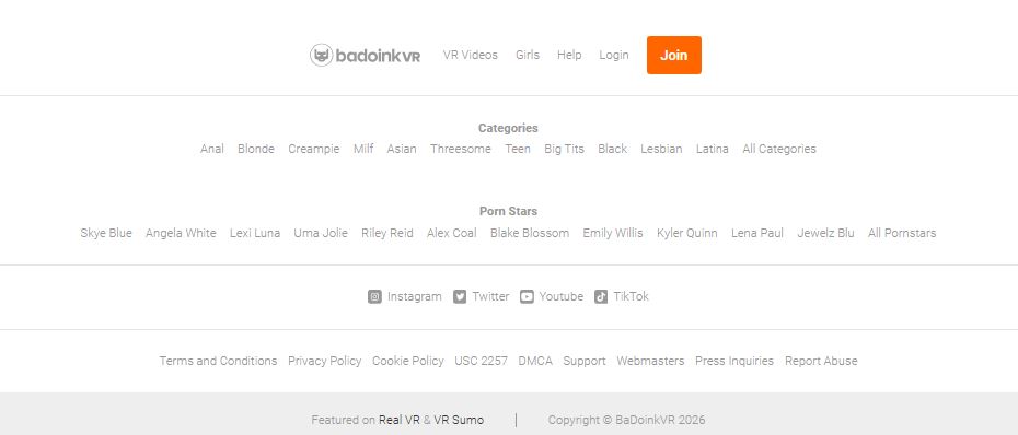 BadoinkVR - bad ux