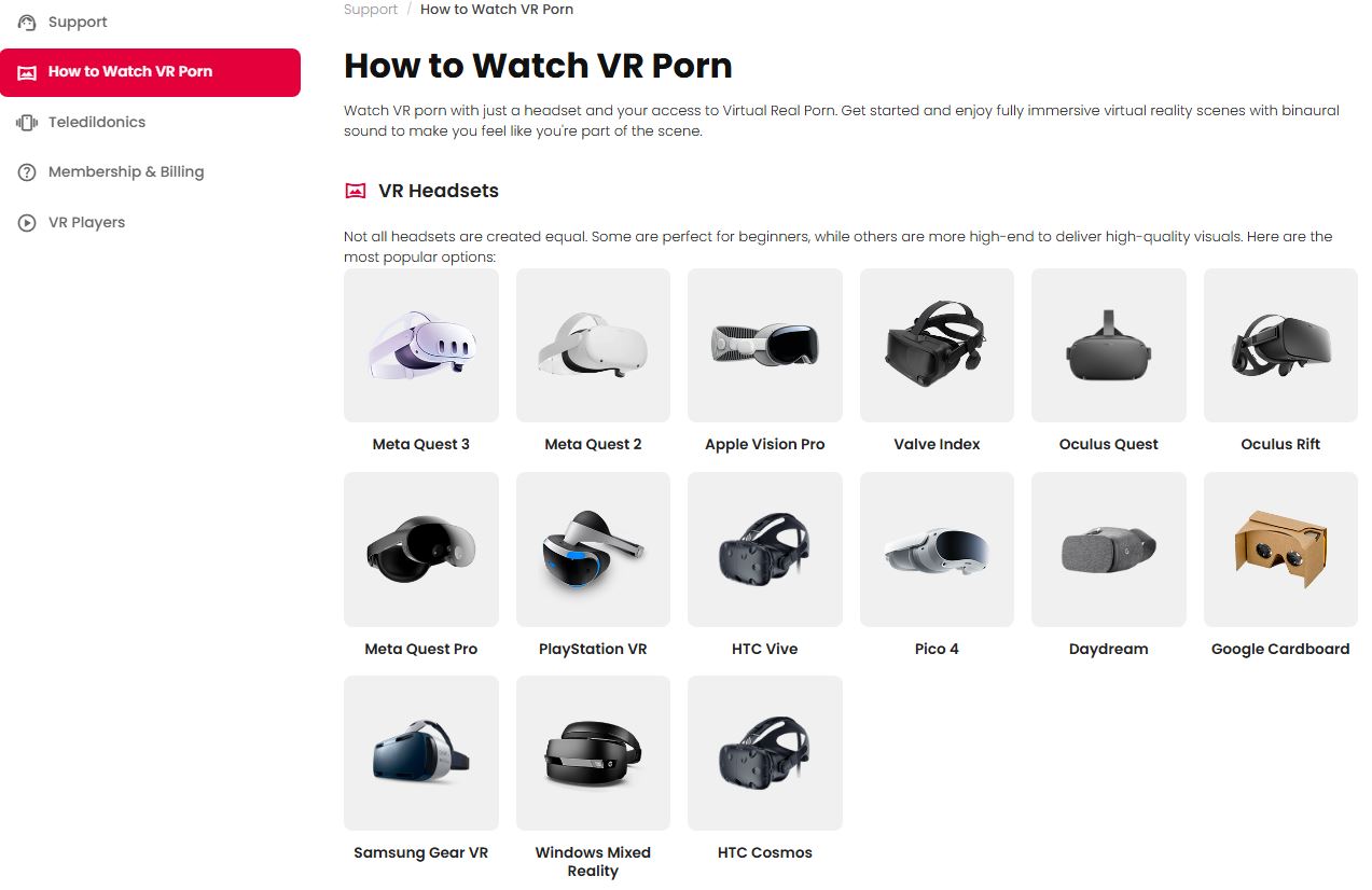 VirtualRealPorn - Support